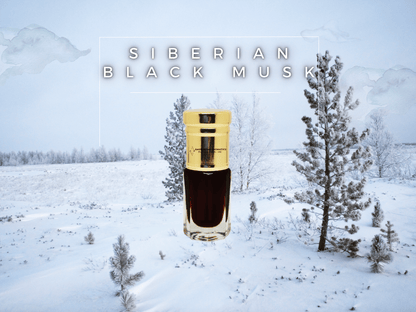 Siberian Black Musk Attar